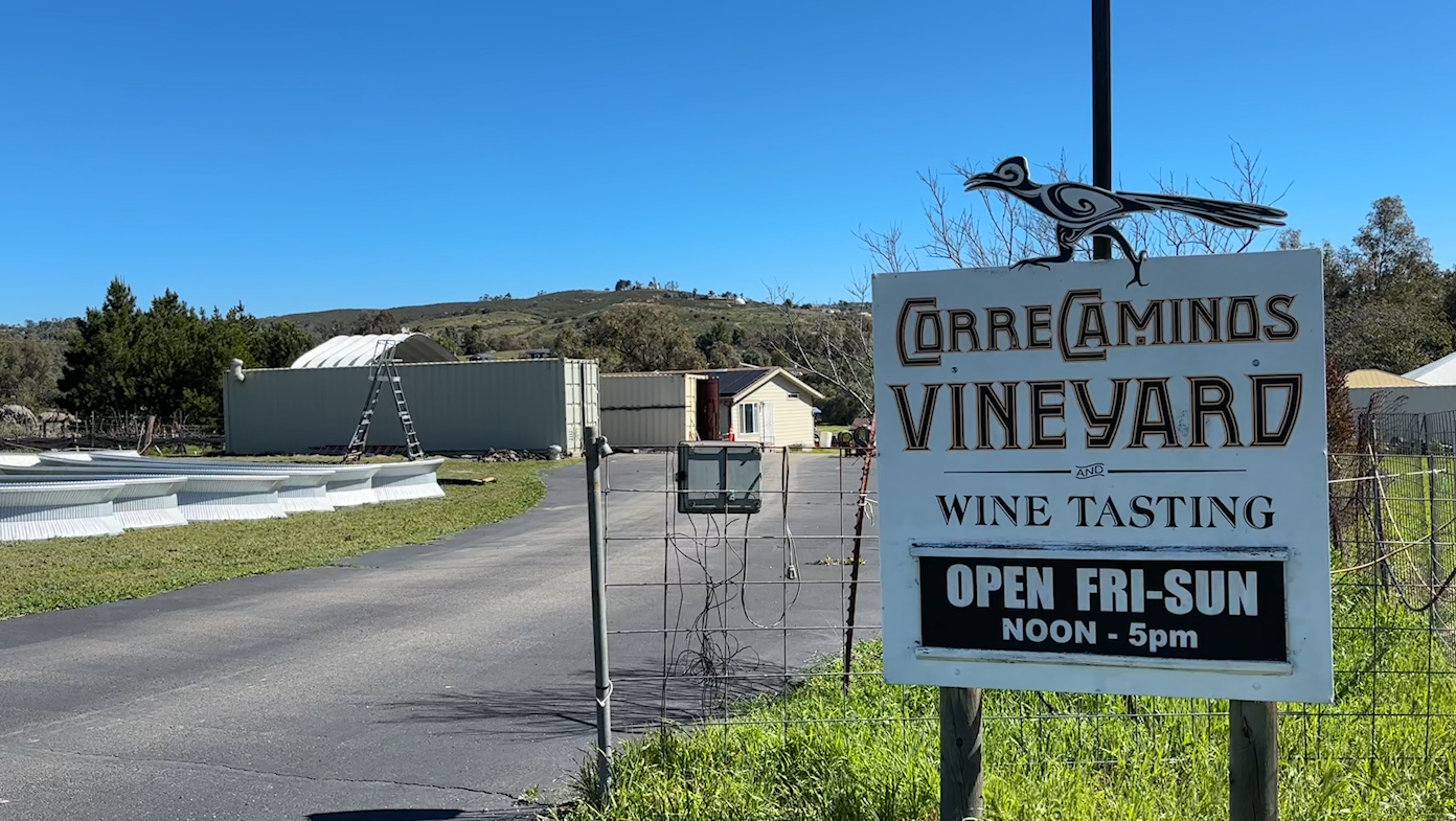 nbcsandiego.com - Cecilia Treviño - San Diego County wineries get green light for live music