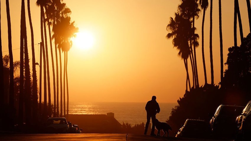 A man with his dog stands on a palm tree-lined street in La Jolla as he watches the sun set on the horizon of the Pacific Ocean on October 27, 2025 in San Diego, California.