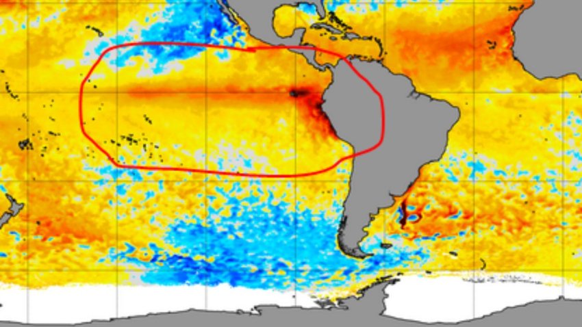 A look at water temperatures from satellite during an El Niño event, via NBCLA’s First Alert Forecast. The redder colors are warmer than average water temperatures. The stripe of warmer temps along the equator is El Niño (circled).