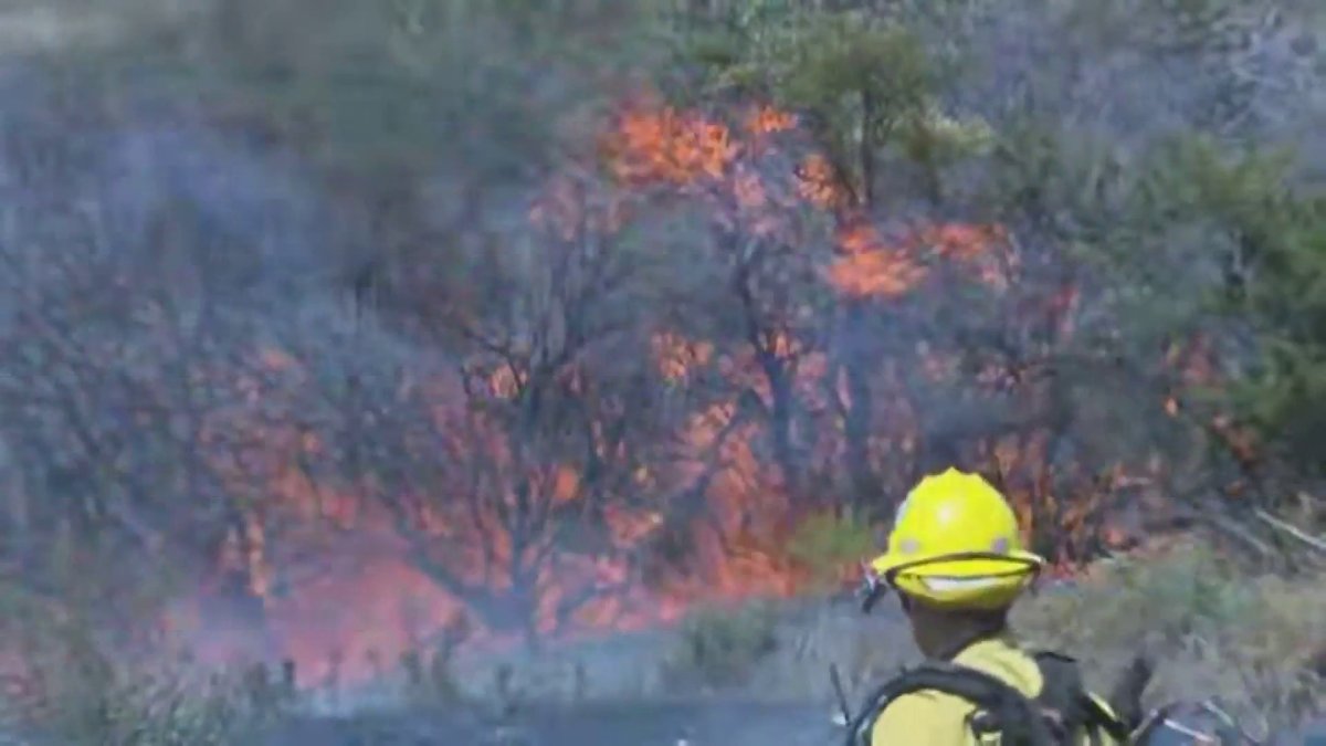 Firefighters battle fast-moving wildfire in Campo – NBC 7 San Diego