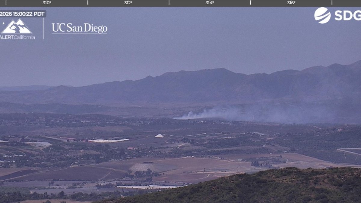 Vegetation fire burns in Camp Pendleton