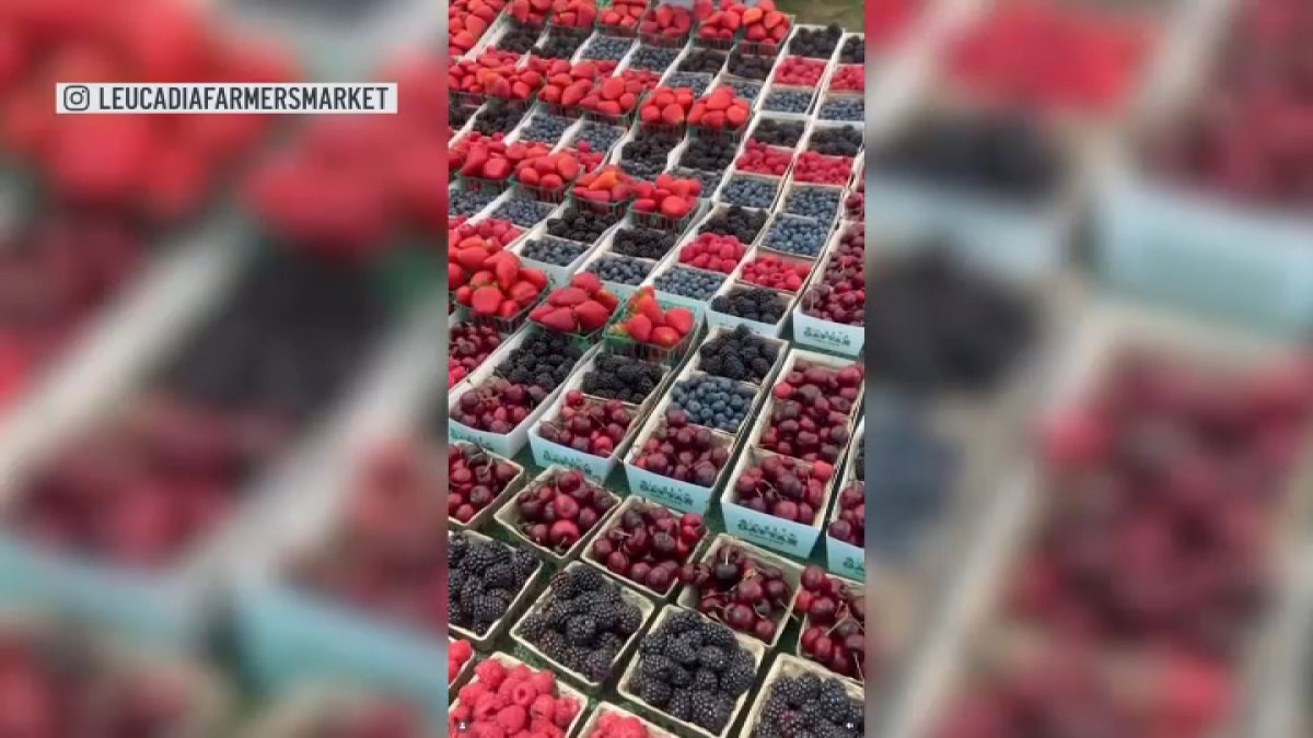 Leucadia Farmers Market move sparks neighbor concerns