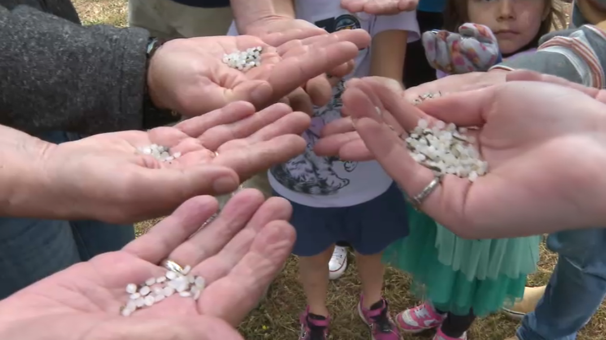 Volunteers clean up plastic pellets, or nurdles, along Carlsbad train tracks