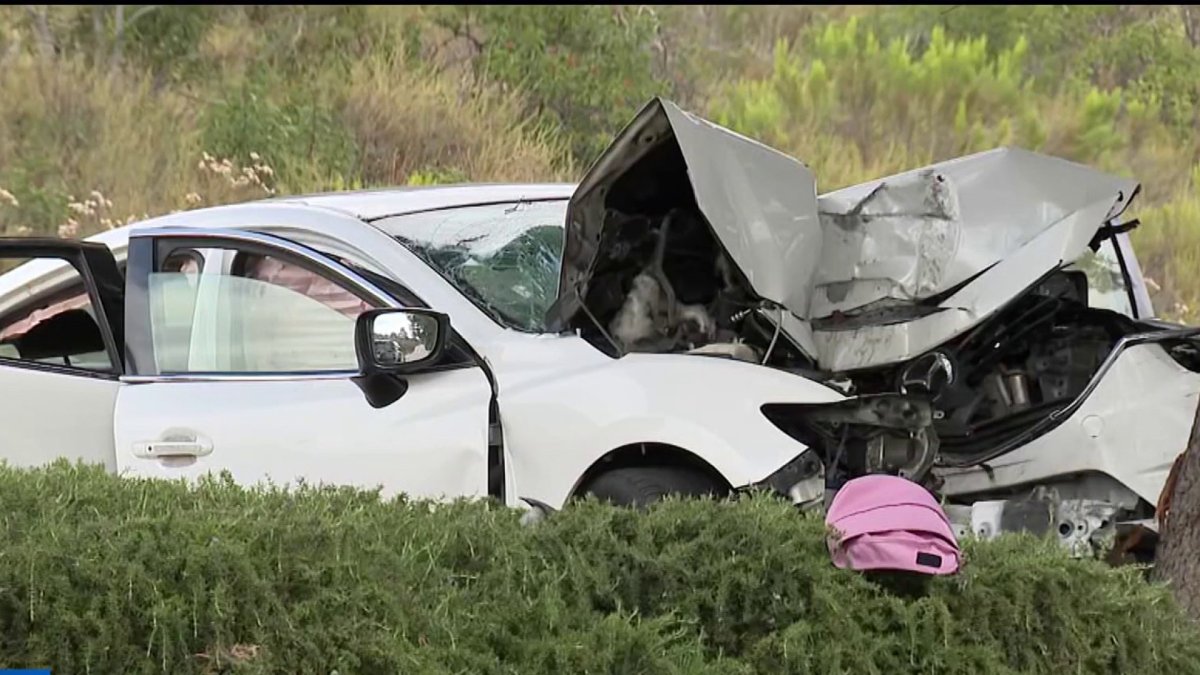 Girl, 14, killed in San Carlos crash is ID'd by medical examiner