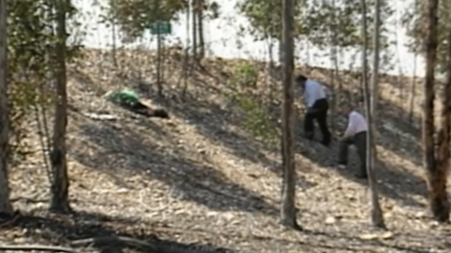 Prosecutors allege suspect confessed to 1990 Scripps Ranch killing while in jail