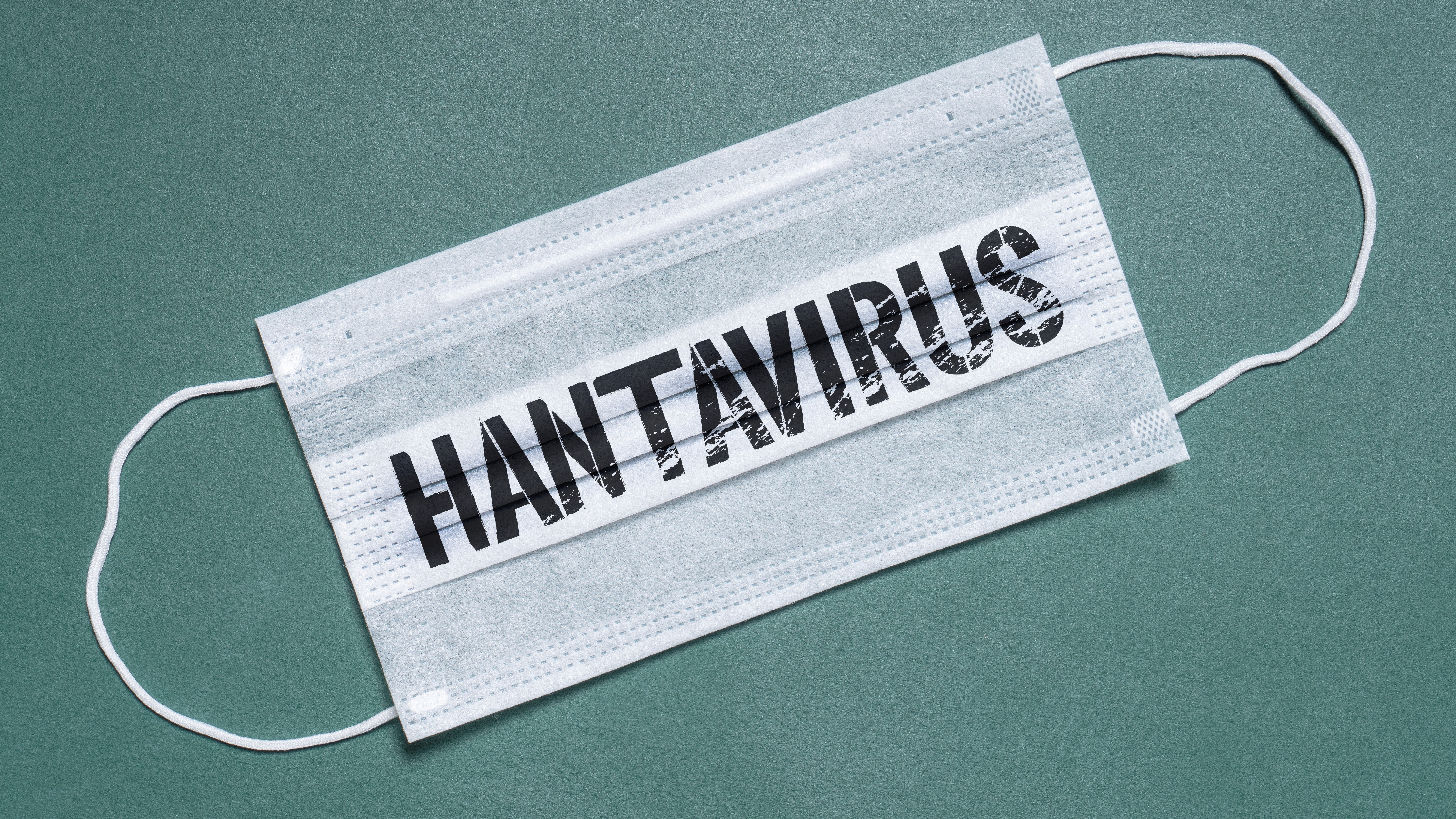 California monitoring 4 residents possibly exposed to hantavirus