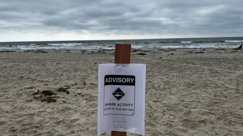 Image showing shar advisory signs posted in La Jolla Shores Beach. June 24, 2026