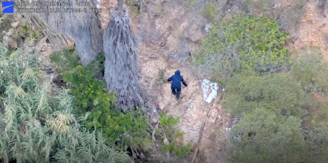 Deputies arrest Spring Valley palm tree arson suspect with help from drones