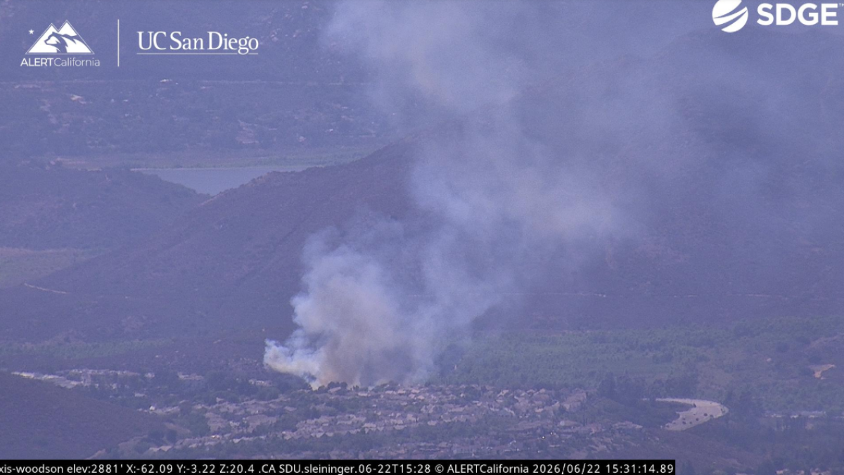 Rancho Bernardo vegetation fire stopped by firefighters