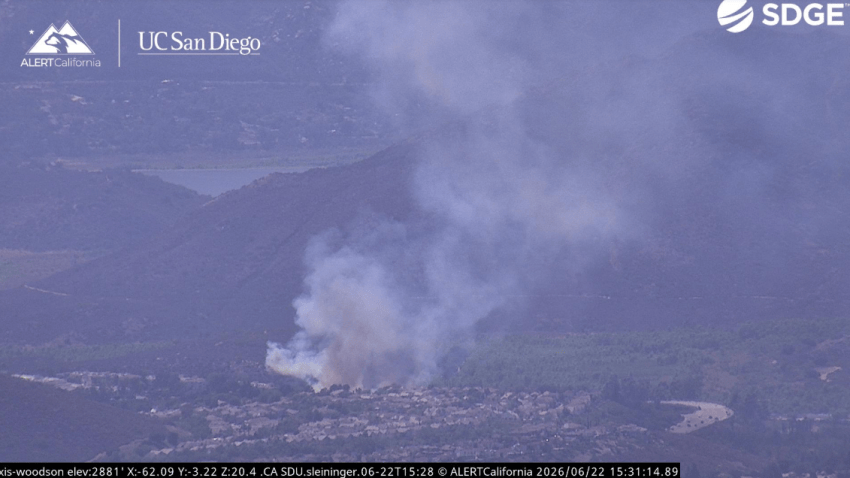 Rancho Bernardo vegetation fire stopped by firefighters – NBC 7 San Diego