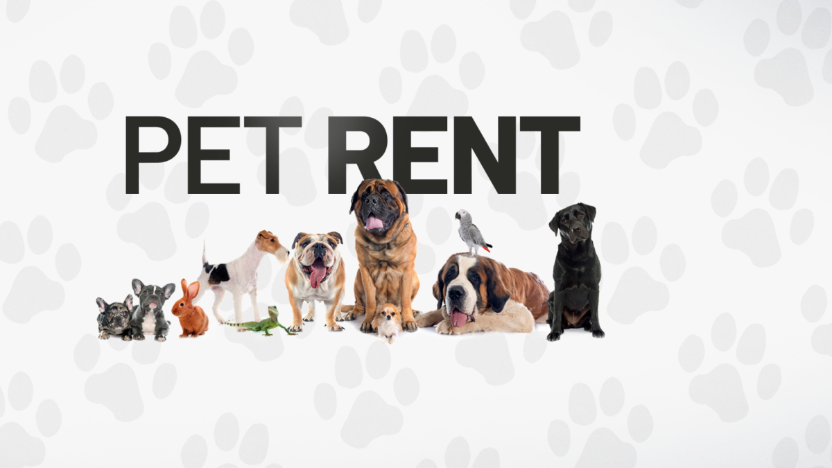 Hate pet rent fees? San Diego city leaders to consider ordinance that could end ...