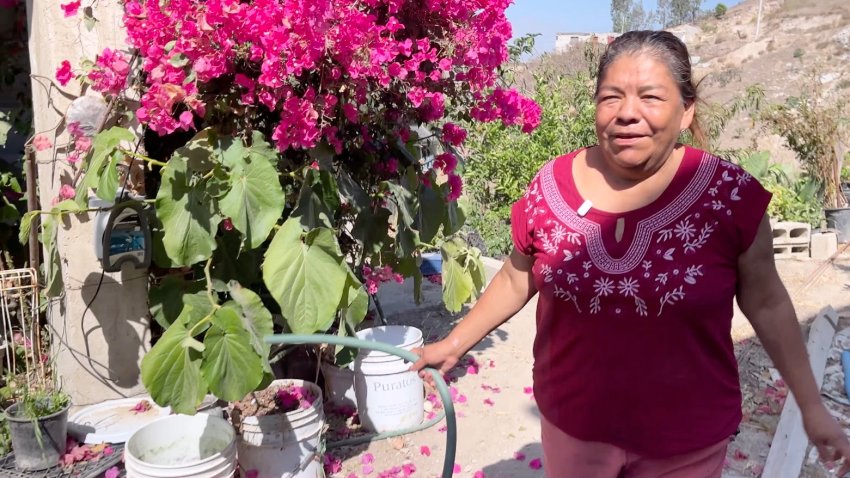 Doña Honoria asegura que las reservas de agua que almacenó antes de la suspensión están por agotarse.