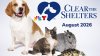 Clear the Shelters, NBC 7's annual pet adoption campaign, is back. Here's what to know