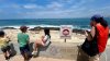 Outrage after video appears to show sea lion kicked by man at La Jolla Cove