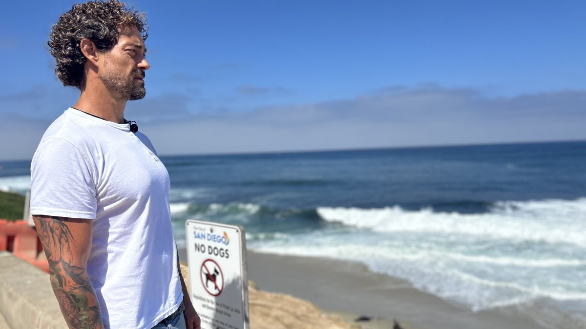 Federal investigation continues after viral video of assault on a sea lion at La Jolla Cove