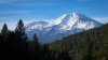 Two U.S. Forest Service employees rescued after being zip-tied and held hostage at gunpoint