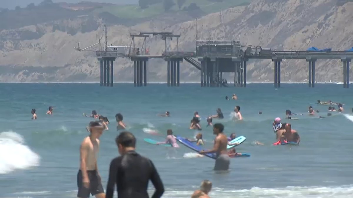 Warm ocean water draws beach crowds as scientists track rising sea-surface temperatures