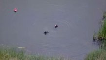 Divers on Palomar Mountain search for Angelica Brophy of Oceanside, who was last seen on July 6.
