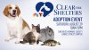 Join NBC 7 and T20 for annual Clear the Shelters pet adoption event on Saturday