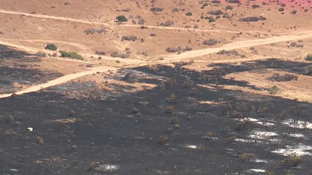 'The air support was phenomenal': neighbors react to Sorrento Fire response