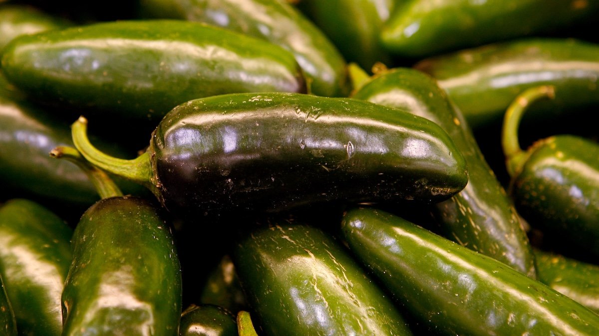 Jalapeños from San Diego distributor recalled for potential tie to salmonella outbreak