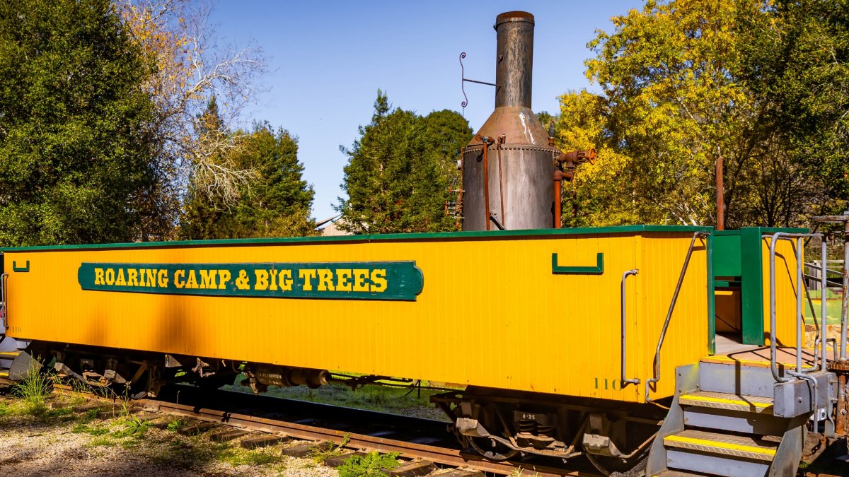 Roaring Camp Railroads has night walks in the sequoias and other fall adventures