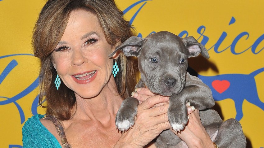 BEVERLY HILLS, CA – JANUARY 07:  Actress Linda Blair arrives at 2018 American Rescue Dog Show on January 7, 2018 in Beverly Hills, California.  (Photo by Jerod Harris/WireImage)