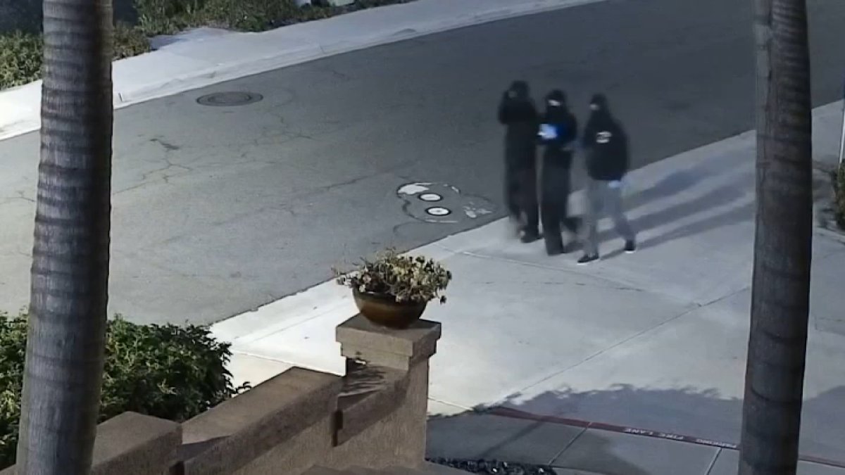 Victim investigates after attempted car theft in Scripps Ranch