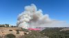 Forward progress stopped in 2-alarm vegetation fire in Peñasquitos Canyon