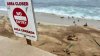 California Coastal Commission considers closing La Jolla Cove to protect sea lions