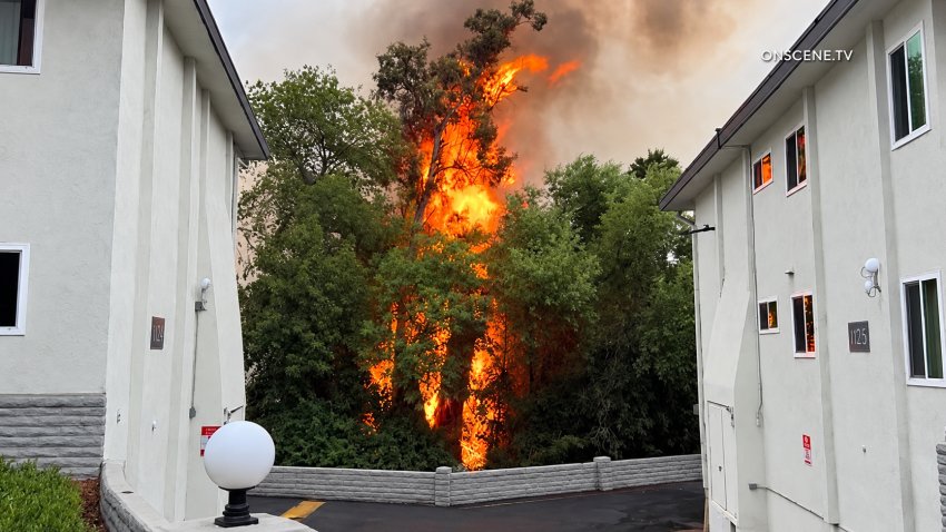 A wildfire threatened to burn homes near Brengle Terrace Park, Sunday, Vista, Calif., September 6, 2026. Screenshot of video provided by ONSCENE.TV