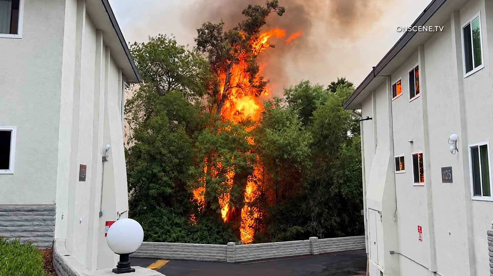 Wildfire Forces Evacuations in Vista, Quickly Contained