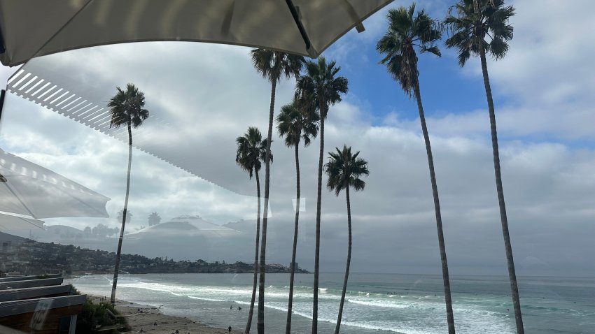 Palm trees stand tall in front of La Jolla Shores near Scripps Pier in this undated image.