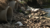 Study puts Tijuana sewage crisis economic toll as high as $7.9B