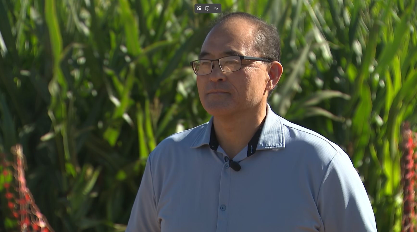 nbcsandiego.com - Monica Hernandez - Rising costs from Iran War could force century-old Oceanside farm to close