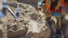 Fossils dating back 40-45 million years uncovered in Oceanside