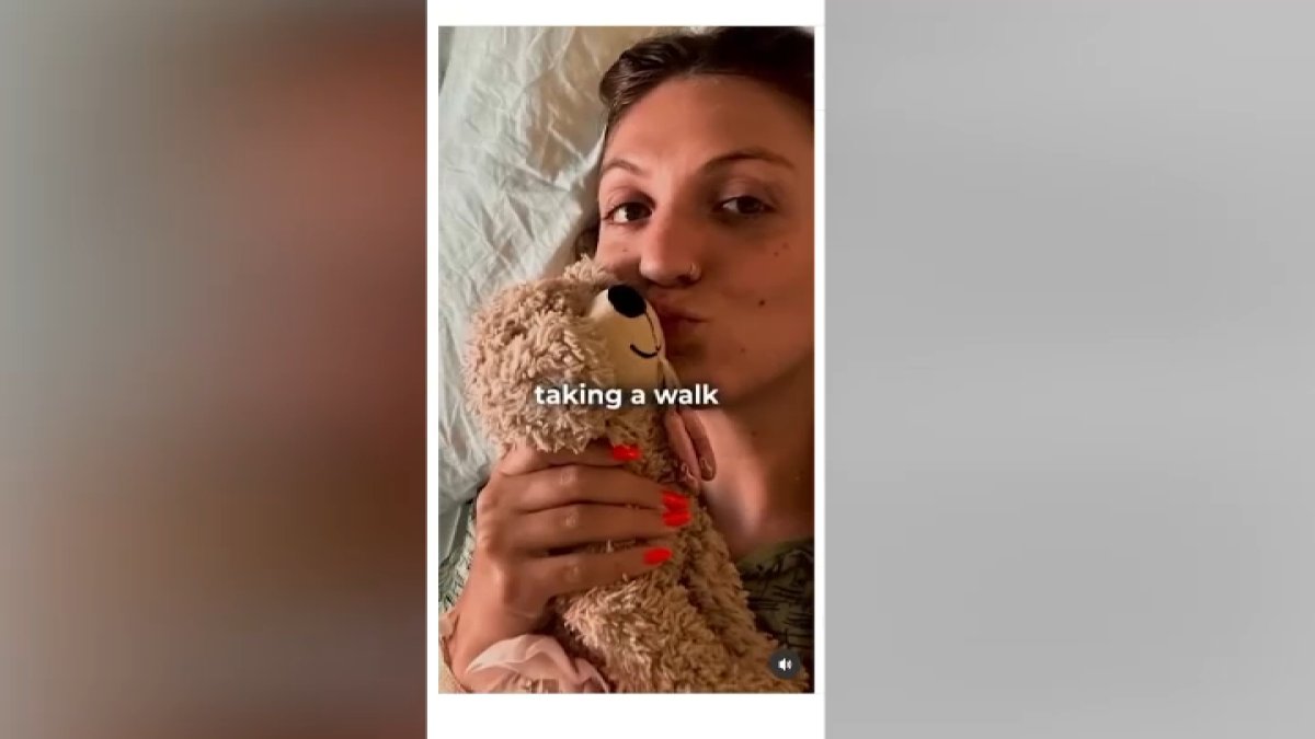 GoFundMe Launched for Woman Hit by Stolen Tesla on Pacific Beach Boardwalk