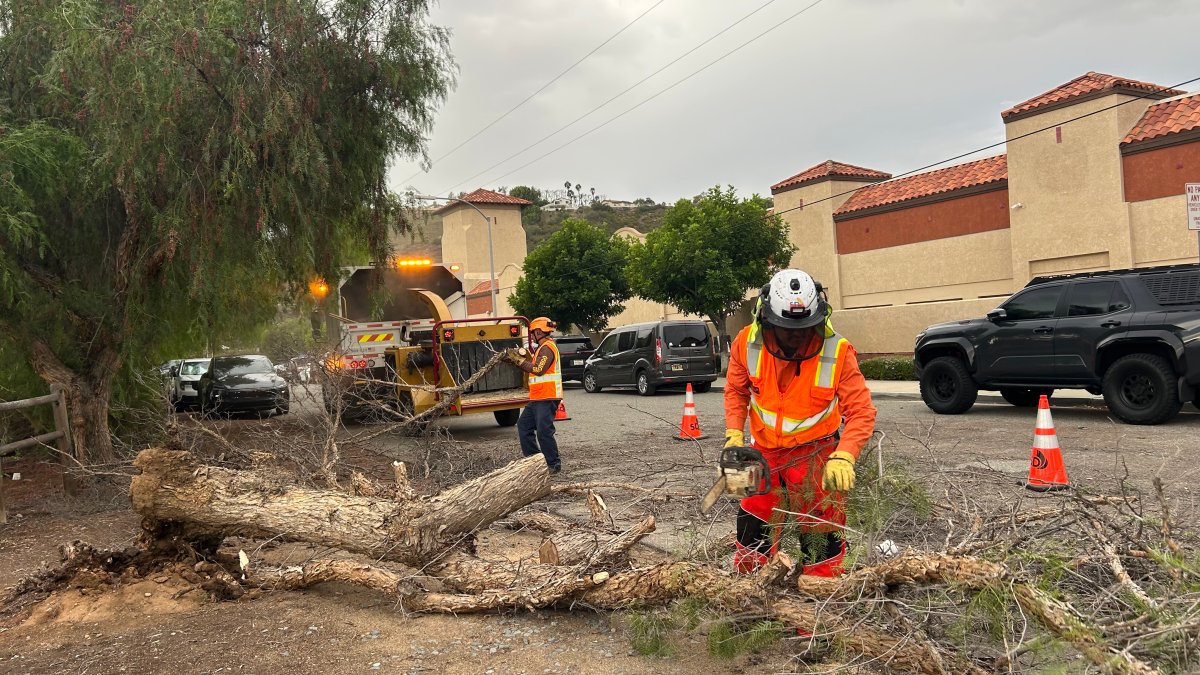 From fallen trees to powerful waves: Santa Ana winds sweep across San Diego County