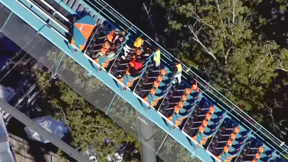 All Rides At 6 Flags Man dies in fall off roller coaster at Six Flags Over Georgia – NBC 7 ...
