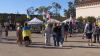 San Diegans protest President Trump's recent actions with Russia-Ukraine War