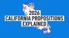 Each California prop on November election ballot explained in 1 minute or less
