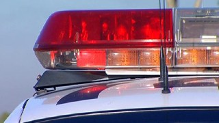 El Cerrito Police Dog Inhales Cocaine During Search