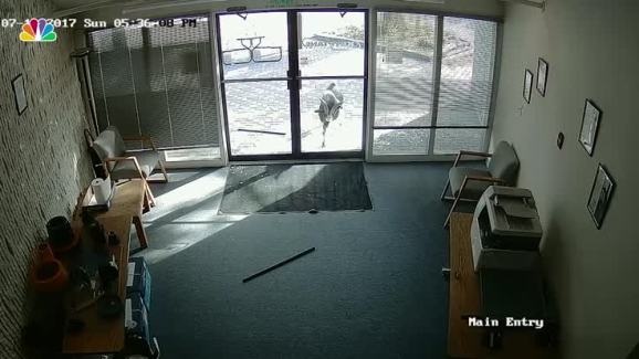 Goat Rams Through Glass Door Of Colo Business Nbc 7 San Diego