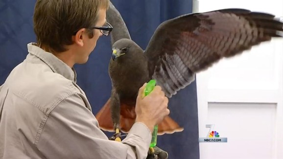 Raptor Institute Teaches La Mesa Preschoolers