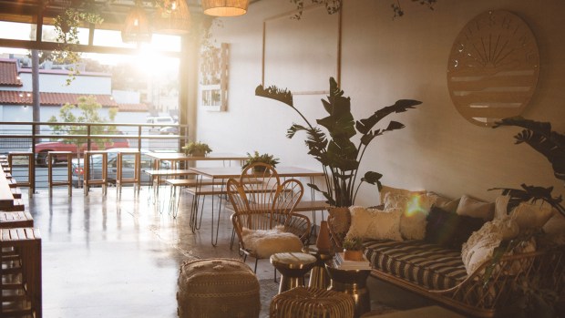 San Diego S Juneshine Hard Kombucha Co Acquires Scripps
