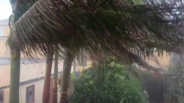 VIDEO: Freak Storm Hits North Park
