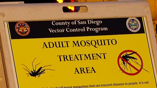 How to Protect Against Mosquitoes in San Diego