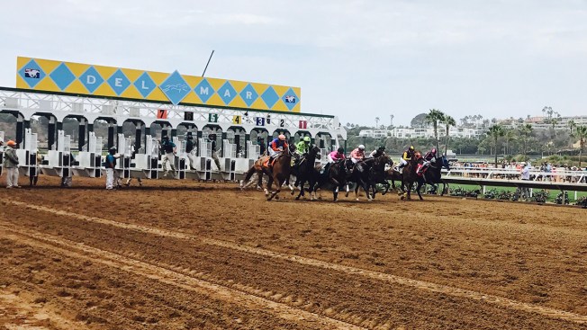 Horse Track Del Mar Off Track Horse Racing